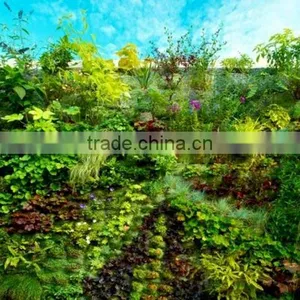 Artificial Grass Wall Fake Plastic Green Wall Cheap Plant Artificial Wall thumbnail-4