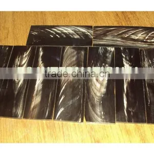 White Buffalo Horn Plates thumbnail-1