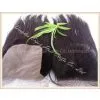 4x4 SilkTop Hair Closure, Middle Part Straight Brazilian Virgin Human Hair Lace, High Quality Hair Extension thumbnail-3