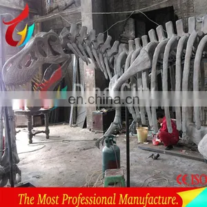 Indoor Display Fiberglass Life Size Dinosaur Skeleton thumbnail-3