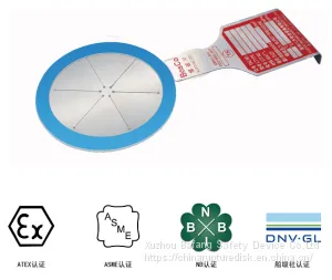 PF ,Flat Rupture Disc Device,bursting Disc, thumbnail-1