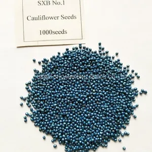 F1 Hybrid Beautiful Green Cauliflower Seeds /Broccoli Seeds thumbnail-4