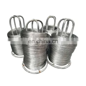 Aisi302 Piano Wire Stainless Steel SS Steel Wire Spring Paslanmaz Celik Tel thumbnail-1
