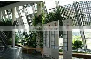 BIPV Glass thumbnail-3