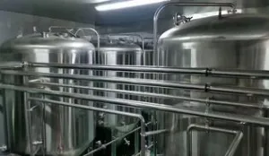 Custom 1000L Stainless Steel Wine Fermentation Tank for Breweries thumbnail-1