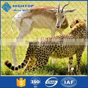 Stainless Steel Zoo Cage Mesh thumbnail-5