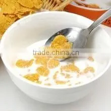 Corn Flakes /tortilla Making Machines thumbnail-5