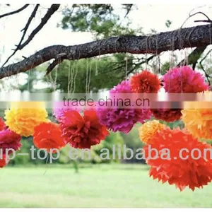 Holiday Pom Pom thumbnail-1