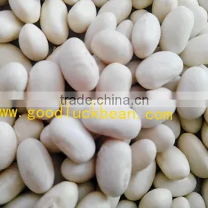 High Quality White/Black Pulse Beans thumbnail-4