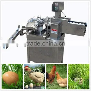 3000pcs/h Stainless Egg Breaking Machine/egg Breaker Made in China(008613823737025) thumbnail-1