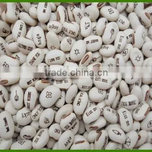 White Carved Beans Magic Engraved Bean In Promotion thumbnail-1