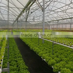 Hydroponics and Fertigation Controllers for Hydroponic Greenhouses thumbnail-6