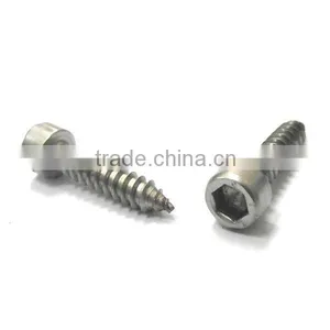 Socket Head Stainless Steel Screw thumbnail-1