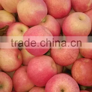 Gansu Qinguan Apple thumbnail-3