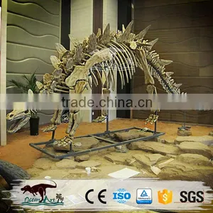 OA-DS-20160505S5 Science Museum Stegosaurus Dinosaur Fossils For Sale thumbnail-5