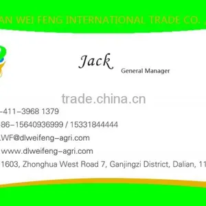 Chinese Adzuki Beans for Europ thumbnail-4