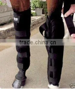 Horse Tendon Boots thumbnail-1