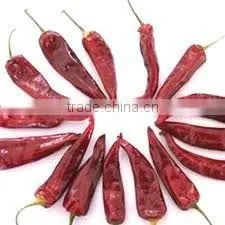Red Pepper thumbnail-1