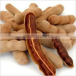 Spray Dried Tamarind Juice Powder thumbnail-2