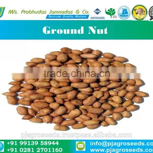 Groundnut for Seed/Bold Groundnut/Java Groundnut thumbnail-2