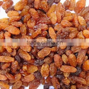 China Dried Sultana Raisin thumbnail-1
