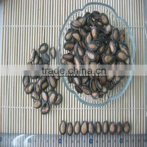 Wholesale Black Watermelon Seed thumbnail-5