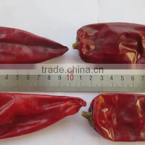 2015 New Crop High Qualilty 80-240 Asta With Competitive Price Sweet Red Paprika Chilli From China Manufacturer thumbnail-5