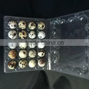 12 Pcs and 24 Pcs Quail Egg Tray /quail Egg Packing Box thumbnail-2