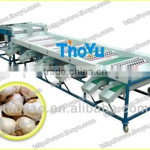 THOYU Brand Stainless Steel Garlic Sorting Machine by Size(0086 15903677328) thumbnail-1