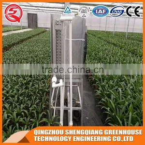 Factory Outlet Large Multi-span Glass Agricultural-commercial Greenhouses thumbnail-4
