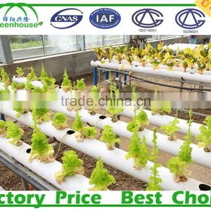 Multi Span Agricultural Type Poly Film Commercial Greenhouse thumbnail-5