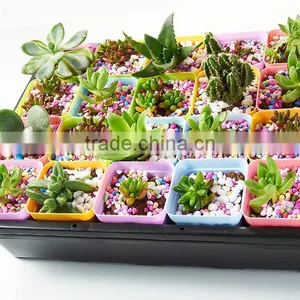 Plastic Raised Garden Bed thumbnail-1
