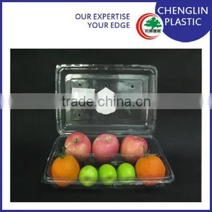 Clear Blister Disposable Plastic Fruit Container thumbnail-1