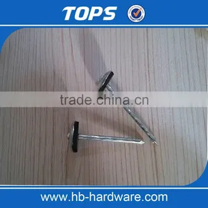 China Umbrella Head Roofing Nails thumbnail-3