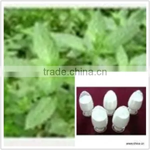 Herba Menthae Powder thumbnail-1