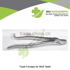 Tooth Forceps for Wolf Teeth thumbnail-1