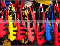 Life Vest thumbnail-1