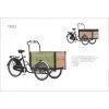 Electric Tricycle thumbnail-3