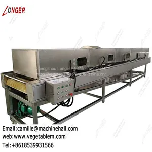 Dates Cleaning and Drying Machine|Fruit and Vegetable Cleaner Line|Automatic Dates Washing Line thumbnail-3