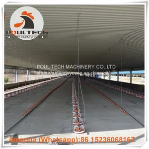 Qatar Poultry Farm & Layer Farm Equipment Broiler Floor Raising System & Chicken Deep Litter System With Automatic Drinking & Feeding Pan System in Chicken Coop thumbnail-1