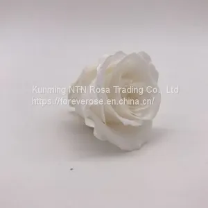 Wholesale3-4cm Elegant Real Touch Preserved Rose Flower thumbnail-3
