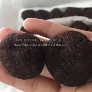 Factory Price Premium Quality Chinese Wild Fresh Black Truffle Mushroom Whole (3-5CM) thumbnail-2