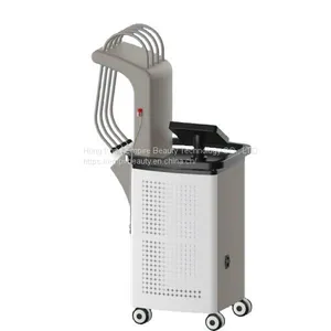 1060 nm Laser Lipo Laser Slimming Machine SculpSure Laser Fat Burning Machine thumbnail-1