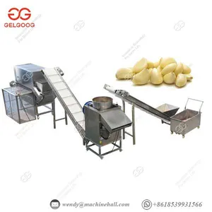 Industrial Garlic Peeling Machine Automatic Electric 300kg/h Capacity thumbnail-1
