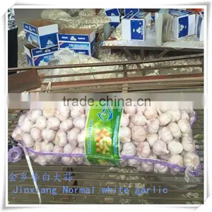 Fresh Normal White Garlic in 10kg Mesh Bag thumbnail-1