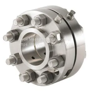 Orifice Flowmeter ExiaIICT4 RS485 HART 4~20mA thumbnail-1