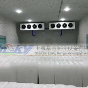 Ceiling Type Air Cooler thumbnail-5