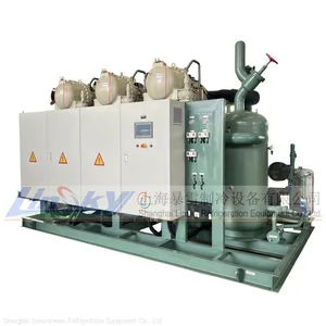 Compressor Condenser Unit for Cold Room thumbnail-4