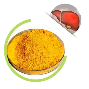 Wholesale Price Food Grade Riboflavin (Vitamin B2) Powder Nutrition Enhancer 1kg Net Weight CAS 83-88-5 thumbnail-1