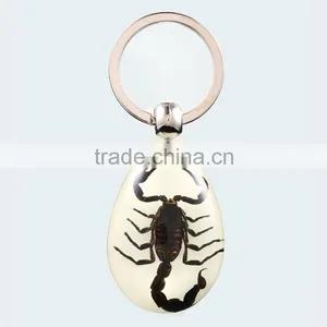 2016 New Spide Keychain With Real Insect thumbnail-6